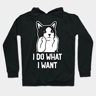 I do what i want cat Hoodie